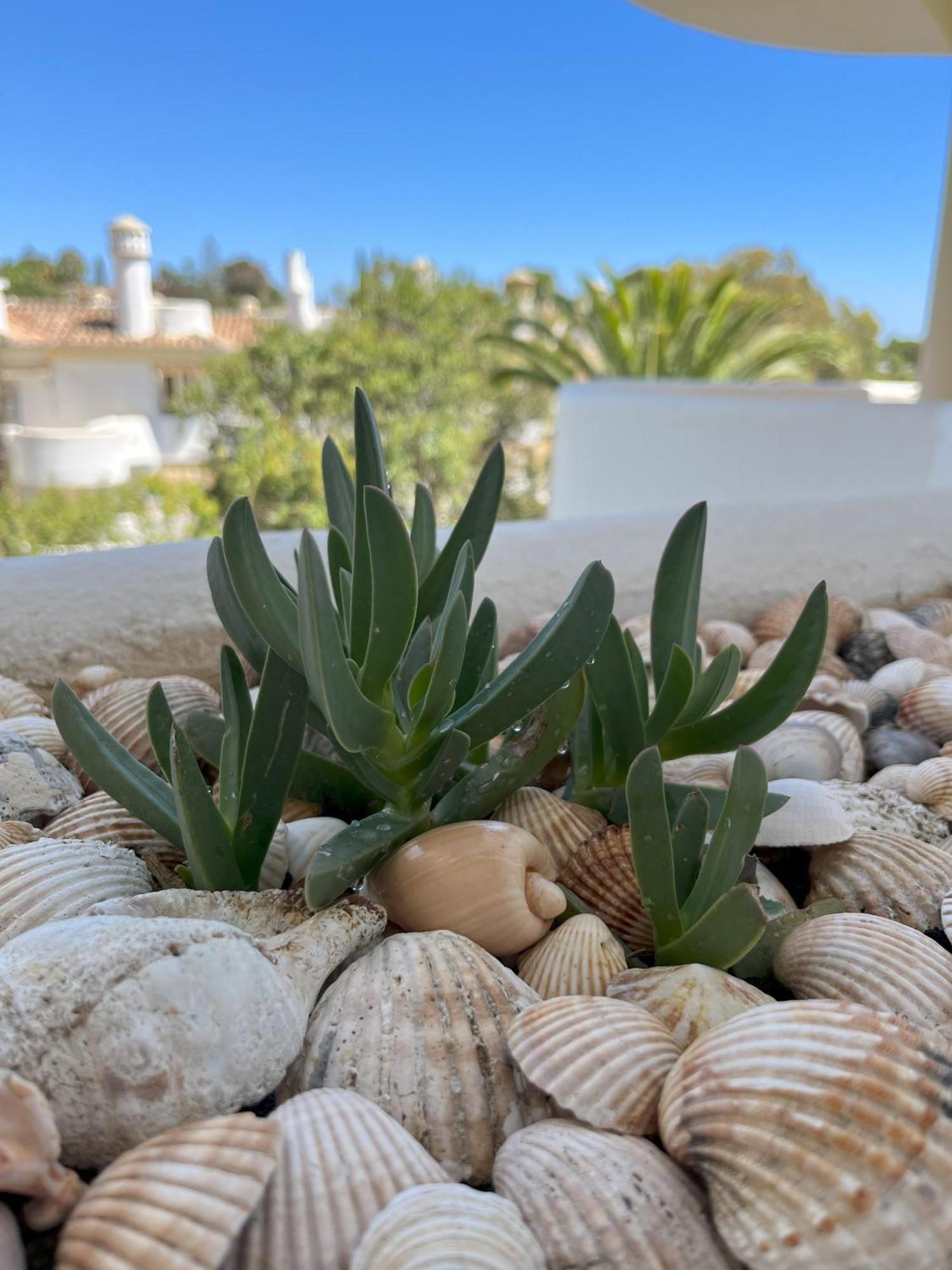 Casadeleon - Costadelsol Vacations & Remote Work Sitio de Calahonda Kültér fotó