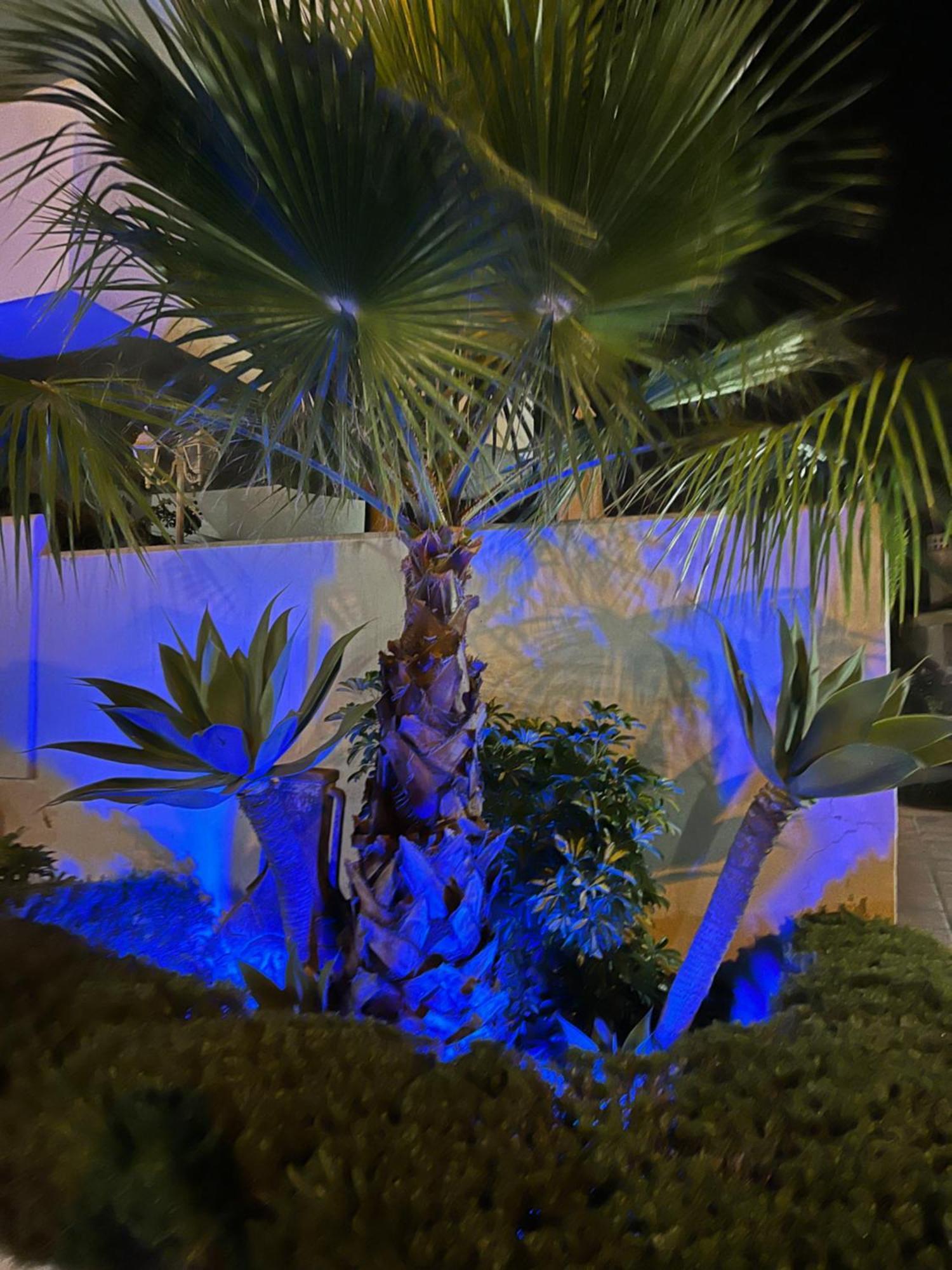 Casadeleon - Costadelsol Vacations & Remote Work Sitio de Calahonda Kültér fotó